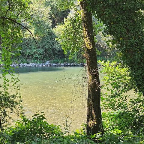 MOBILE HOME 4 people - Mobile home 2 bedrooms 2 bathrooms - Lescar MH D024