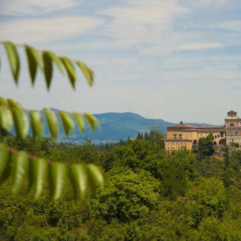 hu Firenze Certosa camping - Florence - Image N°5