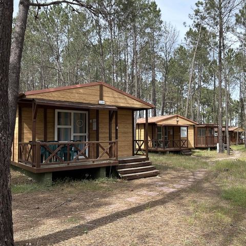 Por el Parque De Campismo São Miguel - Alentejo - Portugal - Image N°5