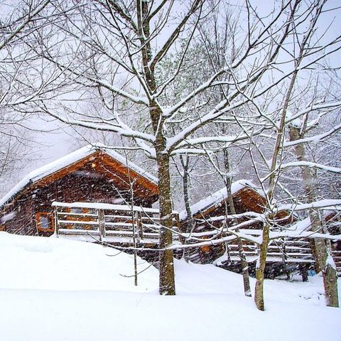 BUNGALOW 4 people - Zen Bungalow