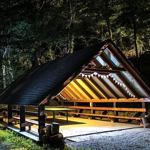 Bedura Park, camping temático de la naturaleza y bungalows - Lleida - Image N°5