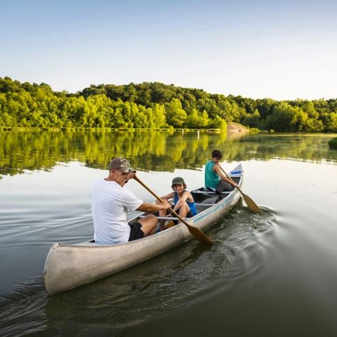Dormio Hotel Der Seehof - North Rhine-Westphalia - Image N°4