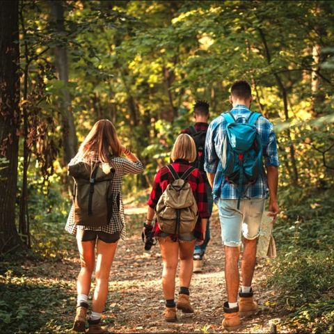 Dormio Hotel Der Seehof - North Rhine-Westphalia - Image N°4