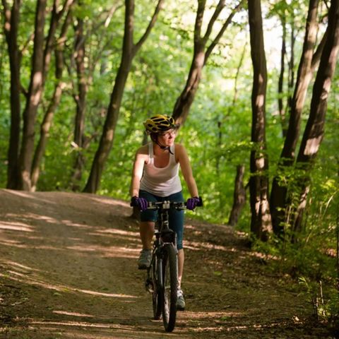 Dormio Hotel Der Seehof - North Rhine-Westphalia - Image N°6