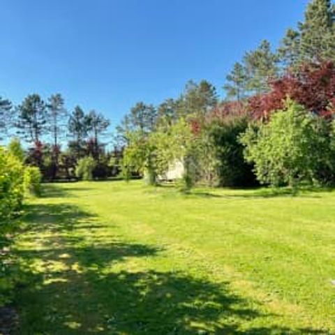 UNUSUAL ACCOMMODATION 2 people - Pine Tree Tiny Cottage