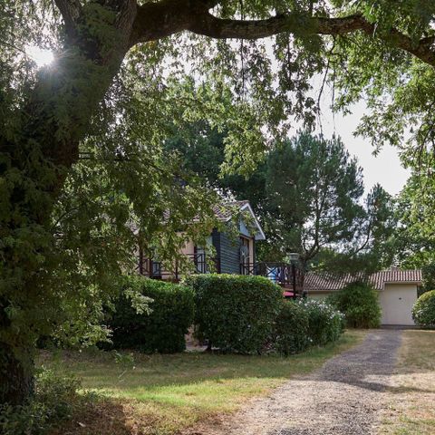 VILLA 6 people - Champagne