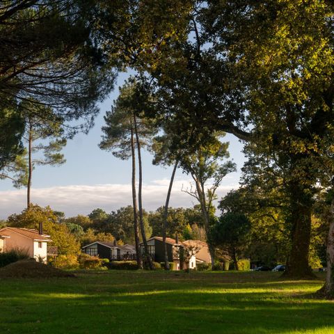 VILLA 6 people - Graves