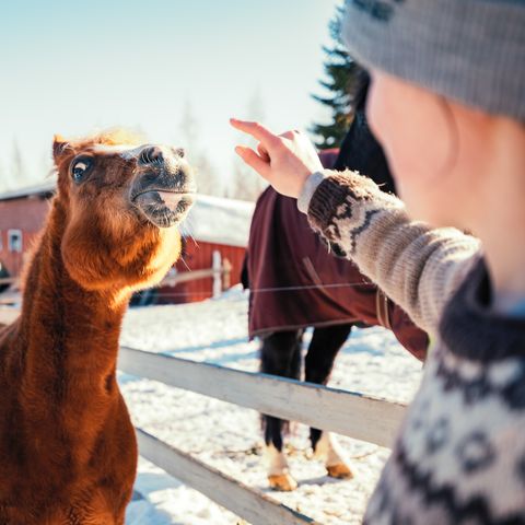 Valkeisen Loma - Central Finland - Image N°5