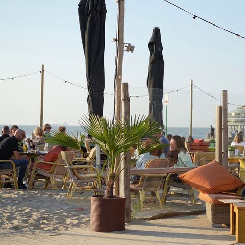 Landal Beach Villa's Hoek van Holland - Rotterdam - Image N°4
