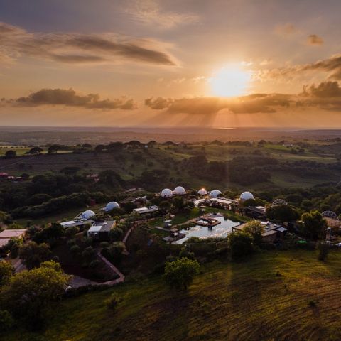 Wecamp Reserva Alecrim - Alentejo - Portugal - Image N°4