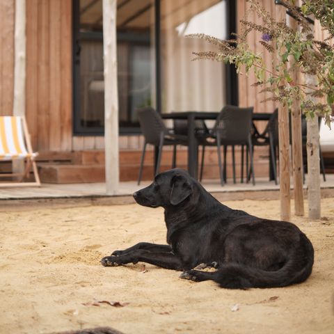 LODGE 6 people - Marsanne 6 Dog Friendly