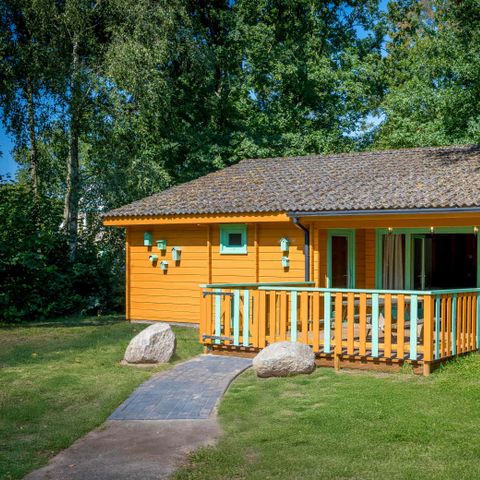 Bungalow 6 persons - Mole's Forest Lodge