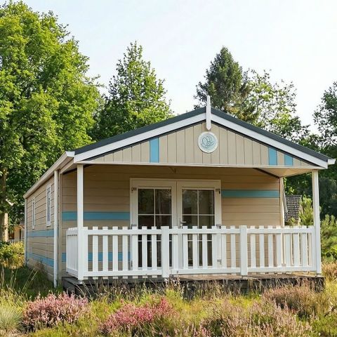 BUNGALOW 5 people - Butterflies Venhuis