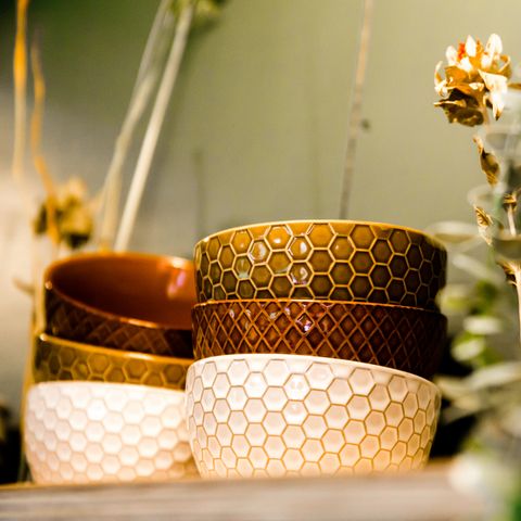 LODGE 4 people - Water lodge Sweltsje