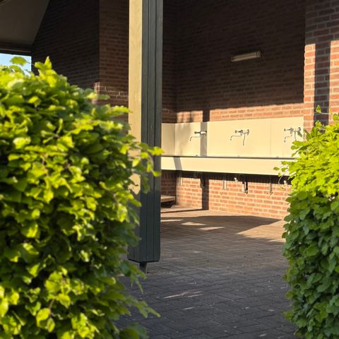 TENT 4 people - Bell tent