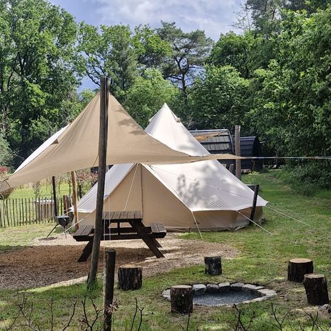 TENT 6 people - Basecamp Bell Tent