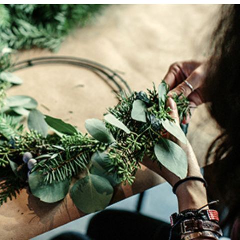 Thuysgrond - Bergeijk - Image N°3