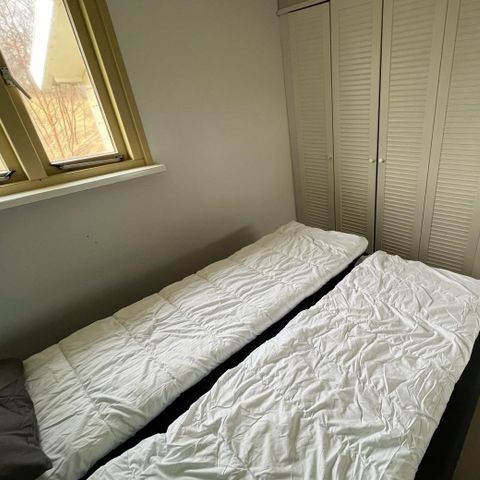 BUNGALOW 2 people - DuinHut Kiekendief with hot tub