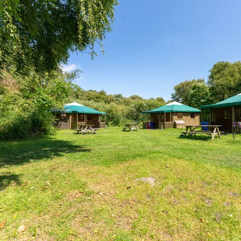 Bungalow 4 persons - Luxury camping bungalow