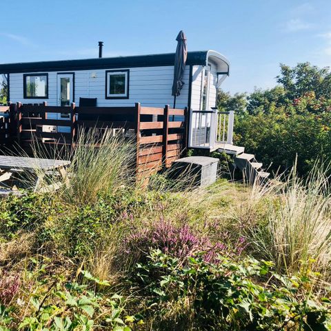 Bungalow 4 persons - Gypsy caravan