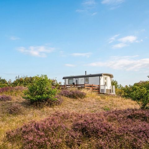 Bungalow 4 persons - Gypsy caravan