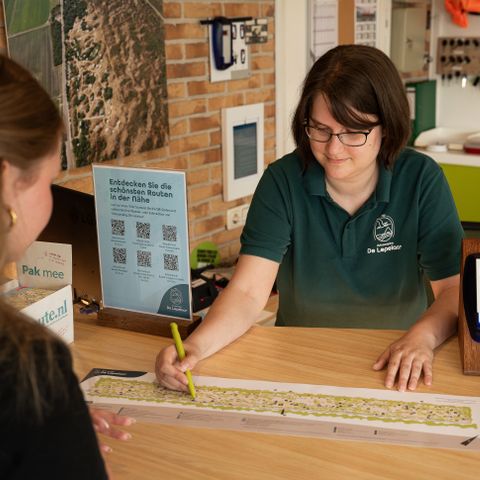 Duincamping de Lepelaar - Schagen - Image N°6