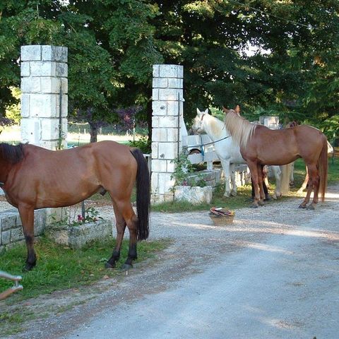 Camping Brantôme Far Ouest - Dordogne - Image N°3