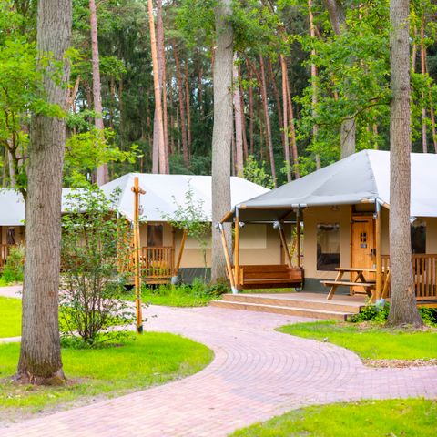 CANVAS AND WOOD TENT 6 people - Tongasoa Lodge