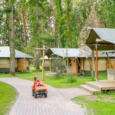 CANVAS AND WOOD TENT 7 people - Tongasoa Lodge