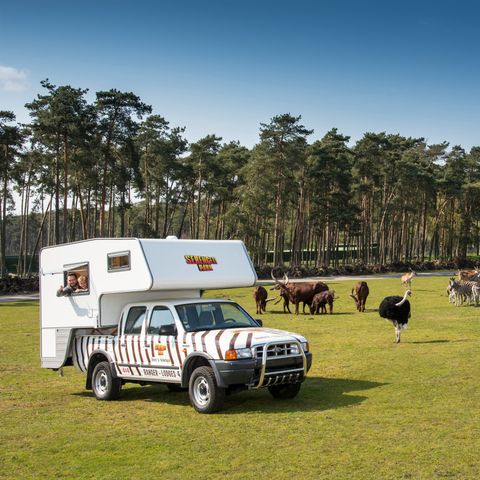 UNUSUAL ACCOMMODATION 4 people - Ranger