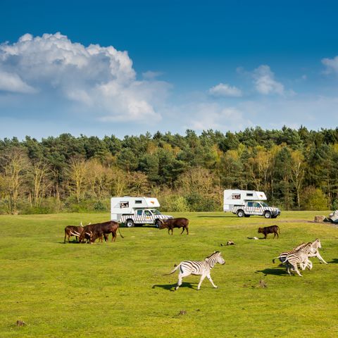 UNUSUAL ACCOMMODATION 4 people - Ranger