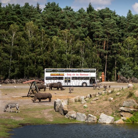 Serengeti Park - Lower Saxony - Image N°4