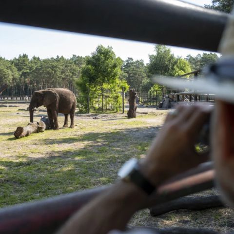 Serengeti Park - Lower Saxony - Image N°6