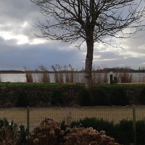 BUNGALOW 4 people - Willow Rose - Heron Avenue 202