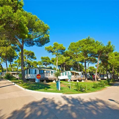 Mobile home 5 persons - Park side