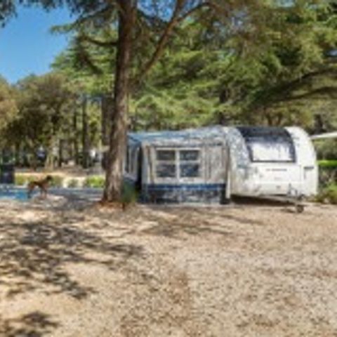 Arena Stoja Camping Homes - Istria - Image N°5