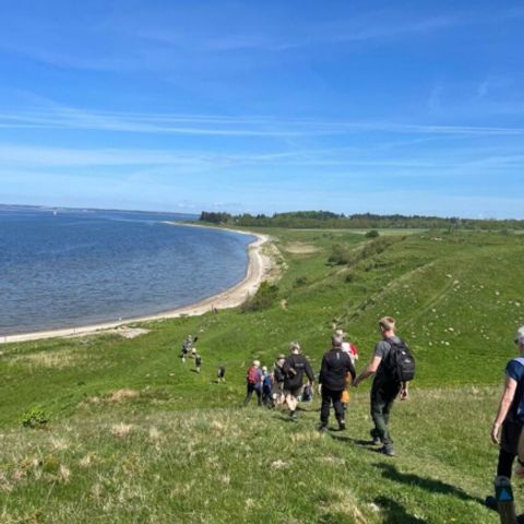 Vodatent Hvalpsund Familie Camping - Sjaelland - Image N°3