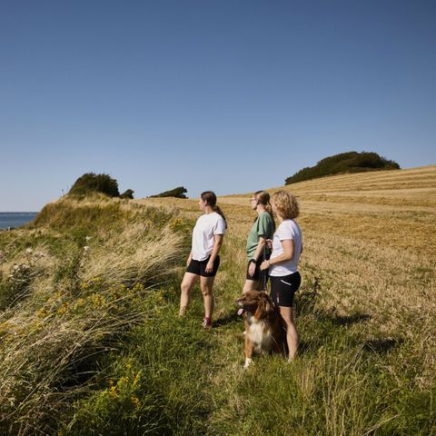 Vodatent Emmerbølle Strand Camping - Southern Denmark - Image N°4