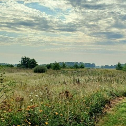 Vodatent Camping Hunze Bulten - Aa en Hunze - Image N°5