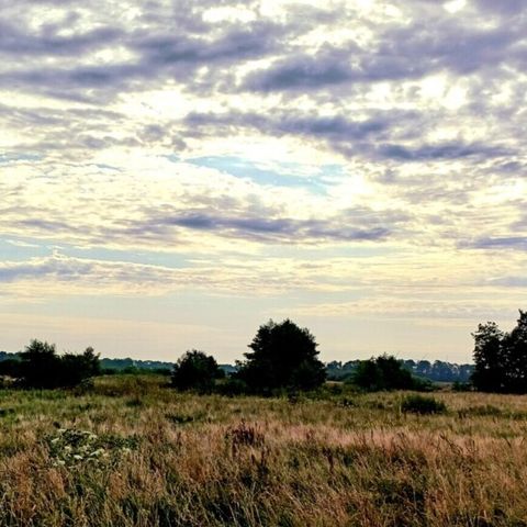 Vodatent Camping Hunze Bulten - Aa en Hunze - Image N°4