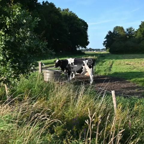 Vodatent Camping Hunze Bulten - Aa en Hunze - Image N°6