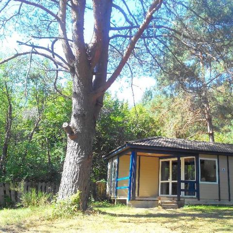 CHALET 5 people - Spacious bungalow