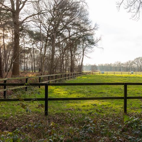 CHALET 6 people - Lichtenberg