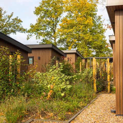 Chalet 6 persons - Renshorst