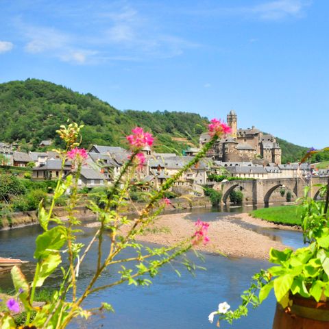 Résidence Goélia Les Gorges de la Truyère - Aveyron - Image N°2