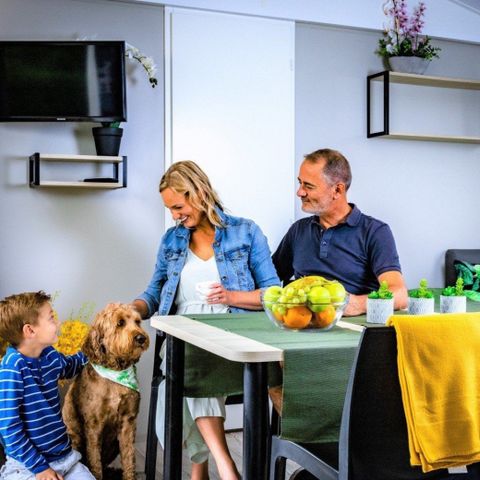 Mobile home 6 persons - Caribbean