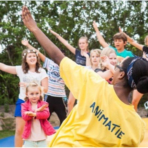 Kustpark Nieuwpoort - West Flanders - Image N°6