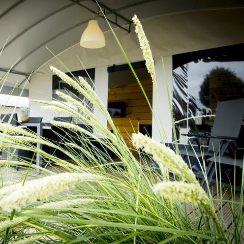 TENT 6 people - Tent villa