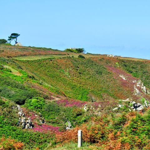 Résidence Goélia - An Douar - Finistère - Image N°4