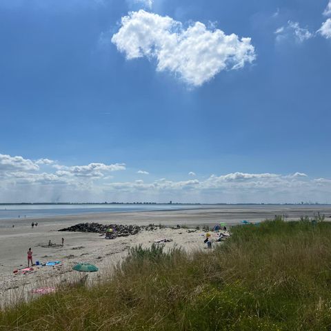 Bungalow 6 persons - Location: Baarland – 95